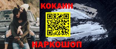 гашик Шелехов