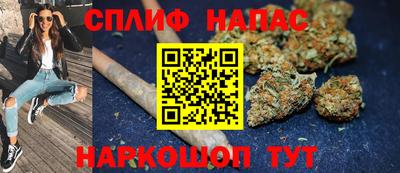 крисы Шахты