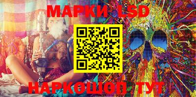 крисы Шахты