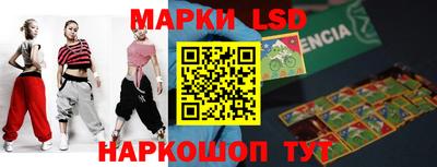 крисы Шахты
