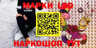 крисы Шахты