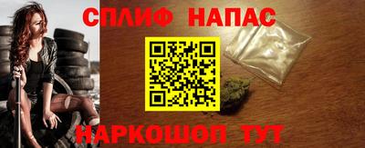 гашик Шелехов