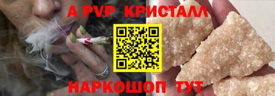 крисы Шахты