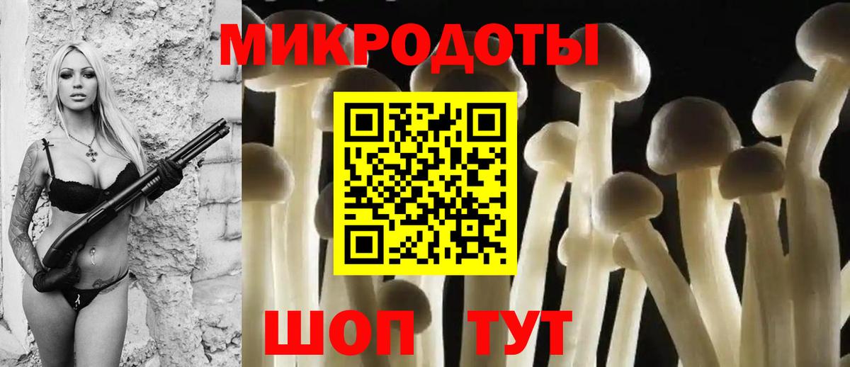 Псилоцибиновые грибы Cubensis Каменка