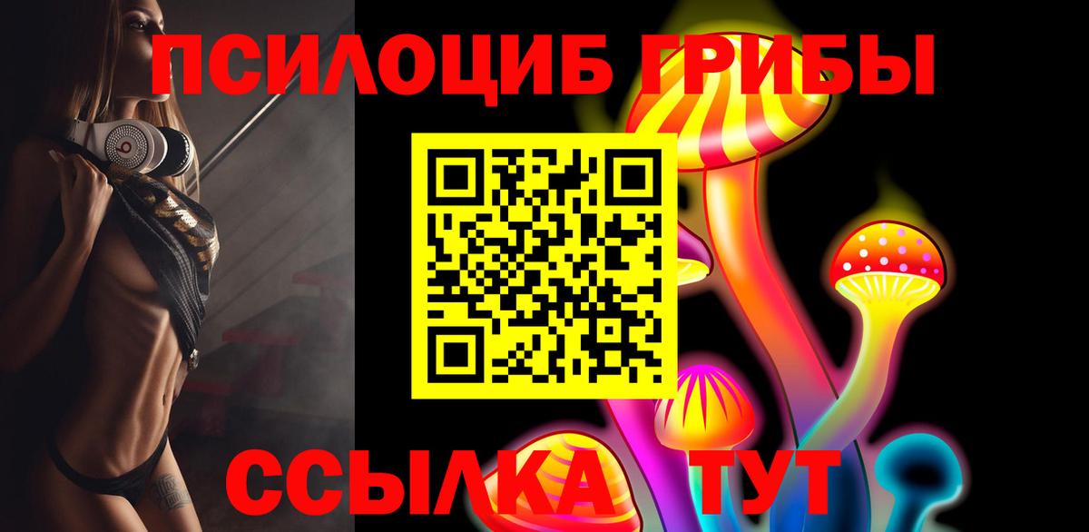 Галлюциногенные грибы Psilocybe  Вход с VPN  Каменка 
